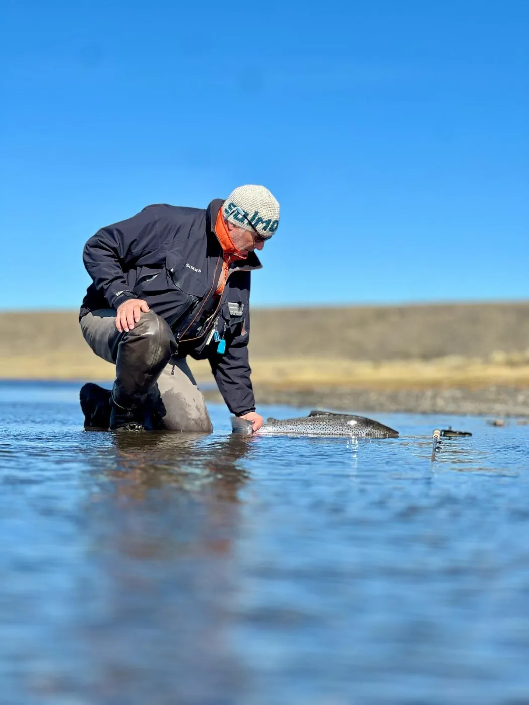 Claude relâche un saumon dans la rivière